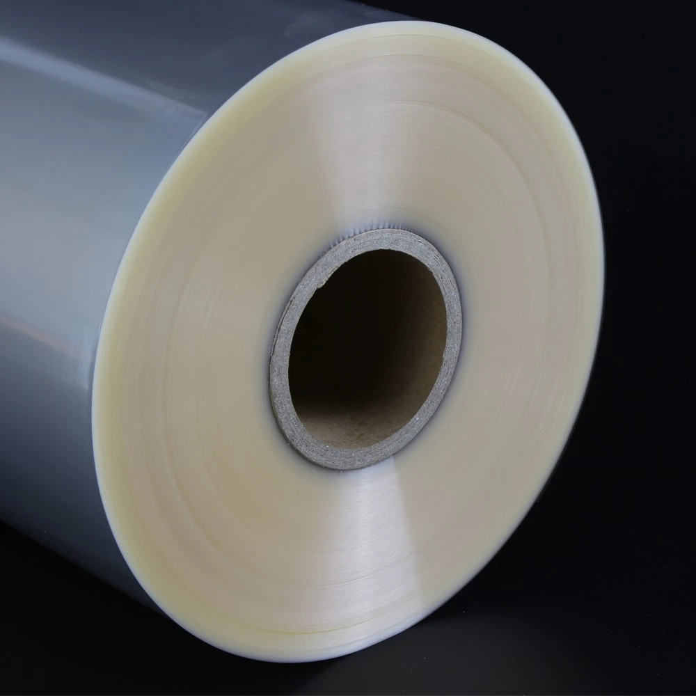 roll film .jpg