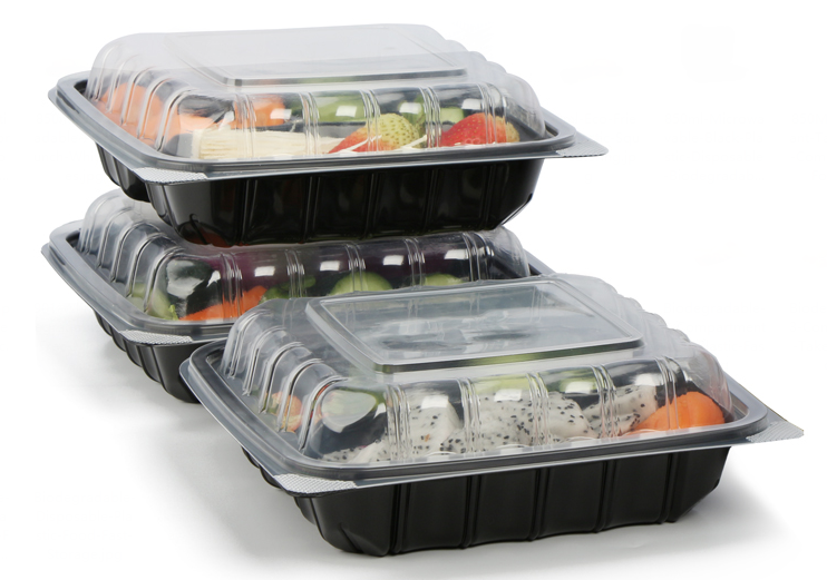 disposable rectangular container