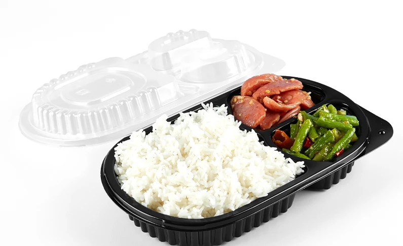disposable lunch boxes