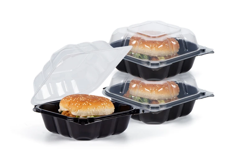 news-767-497 disposable lunch boxes