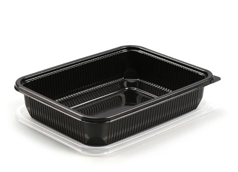 Big Capacity Leakproof take away food box