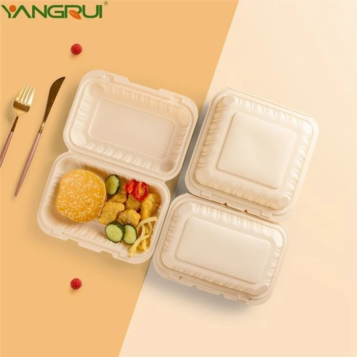 Disposable Plastic Container