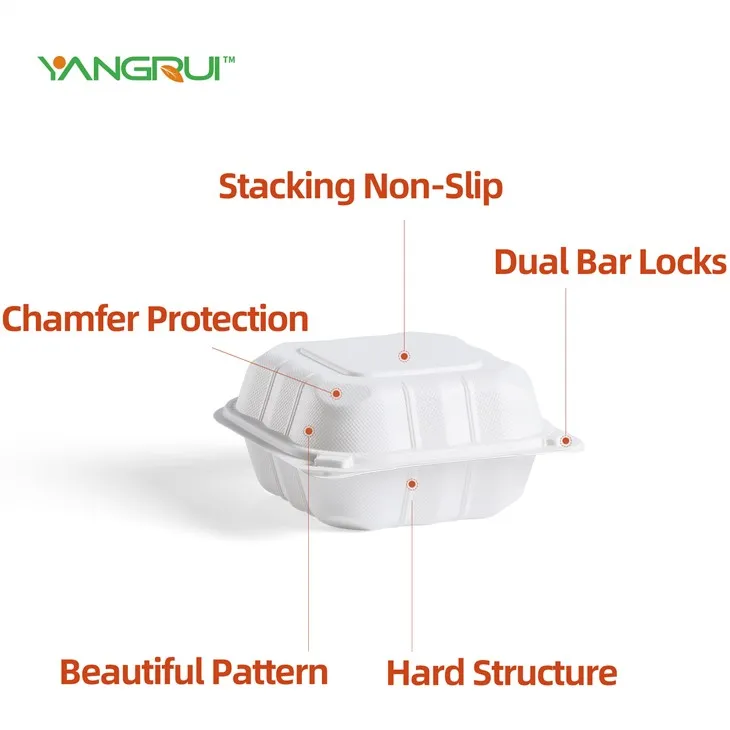 جعبه غذا را بیرون بیاورید