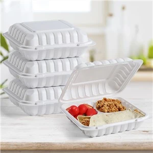 ظرف غذای پلاستیکی 9''x9''