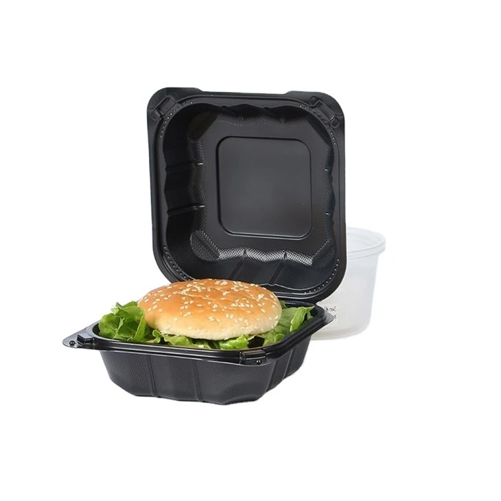 ظرف غذا برای TakeAway