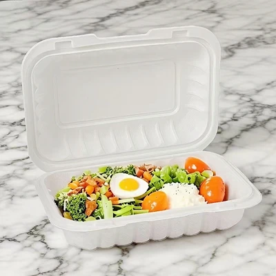 تجزیه و تحلیل 2025 Single-استفاده از پلاستیک برای{2}}Go Lunch Box Ban