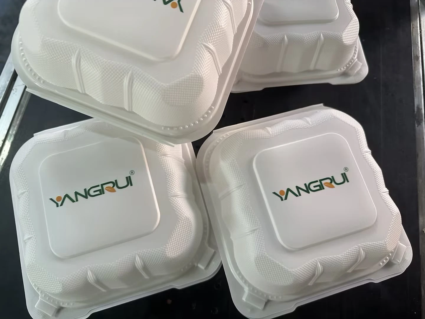 clamshell to go containers