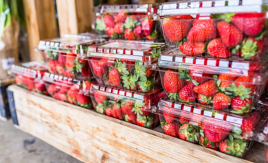 Supermarket Fresh Food Supermarket Fresh Food