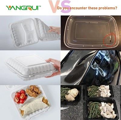 3 Compartment Hinged Lid Container 3 Compartment Hinged Lid Container