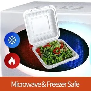 MFPP Takeout Container
